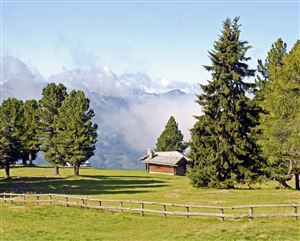 Suoni delle Dolomiti - Malga Canvere