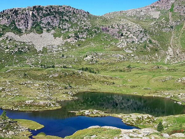 TRAVERSATA DA PASSO S. PELLEGRINO, CIMA JURIBRUTTO, MALGA VALLAZZA.