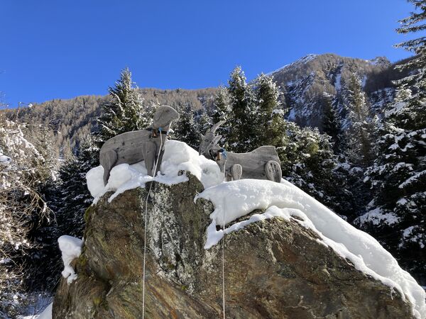 IL SENTIERO DEL LATTE