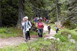 Alpe di Pampeago - Latemar Tour