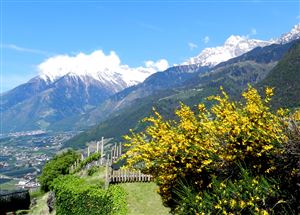 Da Tirolo a Merano - Passeggiata Tappainer
