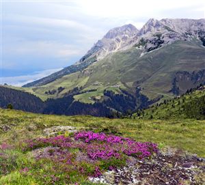 Suoni delle Dolomiti
