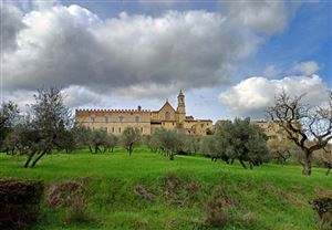 ROMA APPIA ANTICA e CASTELLI ROMANI