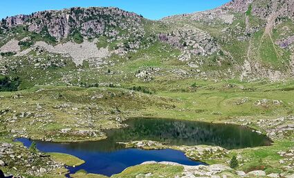 TRAVERSATA DA PASSO S. PELLEGRINO, CIMA JURIBRUTTO, MALGA VALLAZZA.