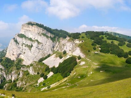 CORNO DELLA PAURA IN JOELETTE